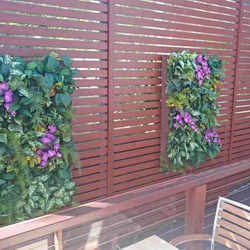 Living Walls- deluxe 120 x 120cm - artificial plants, flowers & trees - image 8