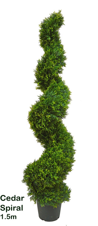 Articial Plants - Cedar Spirals 1.5m