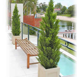 Cypress Pine 2.1M - artificial plants, flowers & trees - image 3