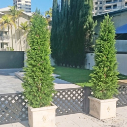 Cypress Pine 1.8M - artificial plants, flowers & trees - image 6