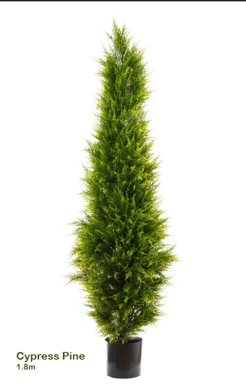 Articial Plants - Cypress Pine [indoor] 1.8m
