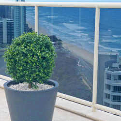 Boxwood Topiary 55cm UV-treated - artificial plants, flowers & trees - image 3