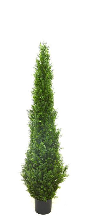 Articial Plants - Cypress Pine UV 1.5m 