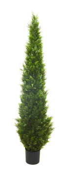Cypress Pine UV 1.8m 