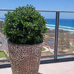 Boxwood Topiary 55cm UV-treated - artificial plants, flowers & trees - image 2