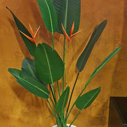 Heliconia Palms- Flowering 1.6m with 2 flowers - artificial plants, flowers & trees - image 1