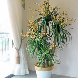 Orchid Trees 1.5m - artificial plants, flowers & trees - image 2