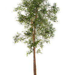 Olive Topiary 1.2m sml - artificial plants, flowers & trees - image 1
