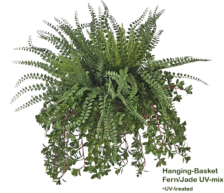 Hanging Baskets- UV-Fern/Jade -medium