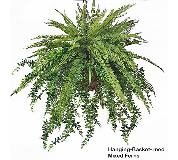Hanging Baskets- Mixed-Ferns (large)