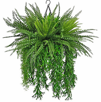 Hanging Baskets- UV-Ferns [med]