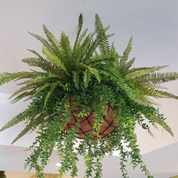 Hanging Baskets- Mixed-Ferns (medium) - artificial plants, flowers & trees - image 1