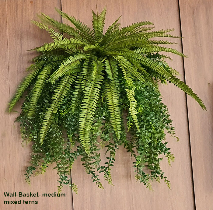 Wall-Baskets Mixed Ferns- med