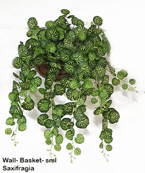 Wall-Baskets Saxifragia- sml