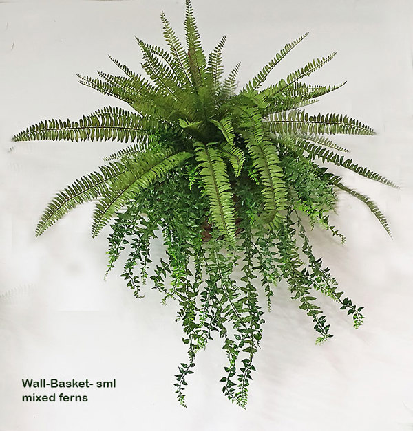 Articial Plants - Wall-Baskets Mixed Ferns-sml