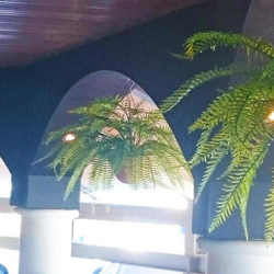 Hanging Baskets- Ferns (medium) - artificial plants, flowers & trees - image 1