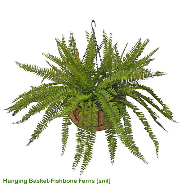 Articial Plants - Hanging Baskets- Ferns (small)