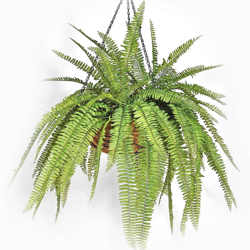 Hanging Baskets- Ferns (large) - artificial plants, flowers & trees - image 9