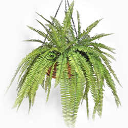 Hanging Baskets- Ferns (medium) - artificial plants, flowers & trees - image 7