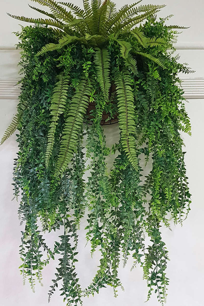 Artificial Ferns