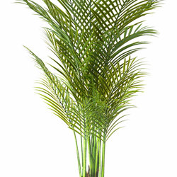 Alexander Palm 1.2m UV-treated - artificial plants, flowers & trees - image 9