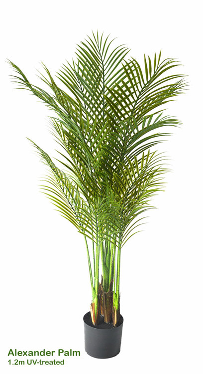 Articial Plants - Alexander Palm 1.2m UV-treated sml