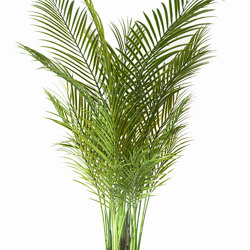 Alexander Palm 1.2m UV-treated sml - artificial plants, flowers & trees - image 8