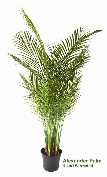 Articial Plants - Alexander Palm 1.4m UV-treated