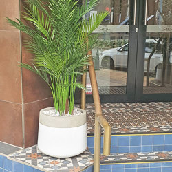 Alexander Palm 1.2m UV-treated sml - artificial plants, flowers & trees - image 1