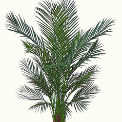 Alexander Palm 1.2m UV-treated - artificial plants, flowers & trees - image 8
