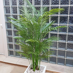 Alexander Palm 1.2m UV-treated sml - artificial plants, flowers & trees - image 2
