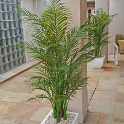 Alexander Palm 1.4m UV-treated - artificial plants, flowers & trees - image 3