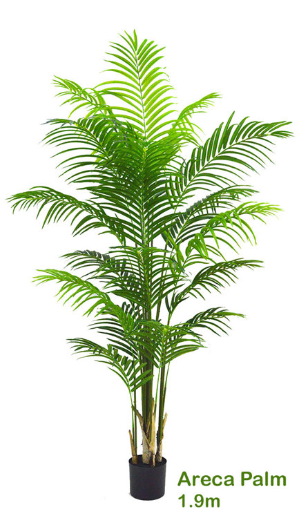 Articial Plants - Areca Palm 1.9m