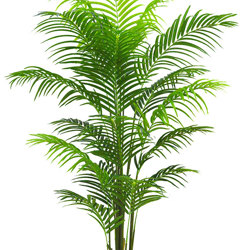 Areca Palm 1.9m - artificial plants, flowers & trees - image 4