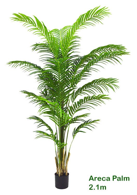 Articial Plants - Areca Palm 2.1m