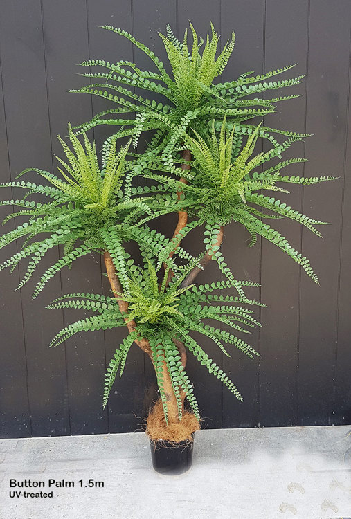 Articial Plants - Button Palm 1.2m x 3 heads