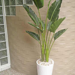 Heliconia Palms- 1.8m - artificial plants, flowers & trees - image 4