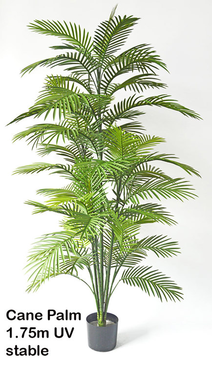 Articial Plants - Cane Palm 1.75m UV stable