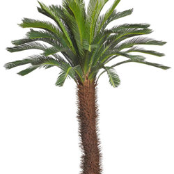 Cycad Palm 2m - artificial plants, flowers & trees - image 8