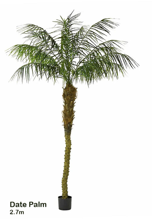 Articial Plants - Date Palms- 2.7m 