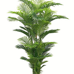 Golden Cane Palm 2.1m - artificial plants, flowers & trees - image 9