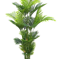 Golden Cane Palm 2.1m - artificial plants, flowers & trees - image 10