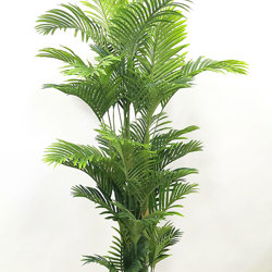 Golden Cane Palm 1.8m - artificial plants, flowers & trees - image 8