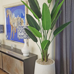 Heliconia Palms- 1.5m - artificial plants, flowers & trees - image 7