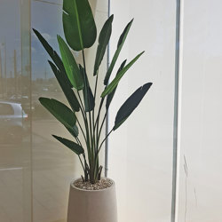 Heliconia Palms- 1.5m - artificial plants, flowers & trees - image 8