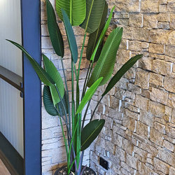 Heliconia Palms- 1.8m - artificial plants, flowers & trees - image 2