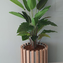 Alocasia 'dragon-wing' 1.1m sml - artificial plants, flowers & trees - image 8