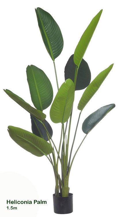 Articial Plants - Heliconia Palms- 1.5m