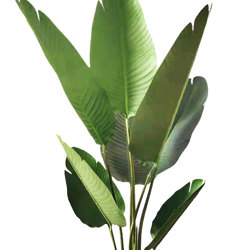 Heliconia Palms- 1.2m - artificial plants, flowers & trees - image 9