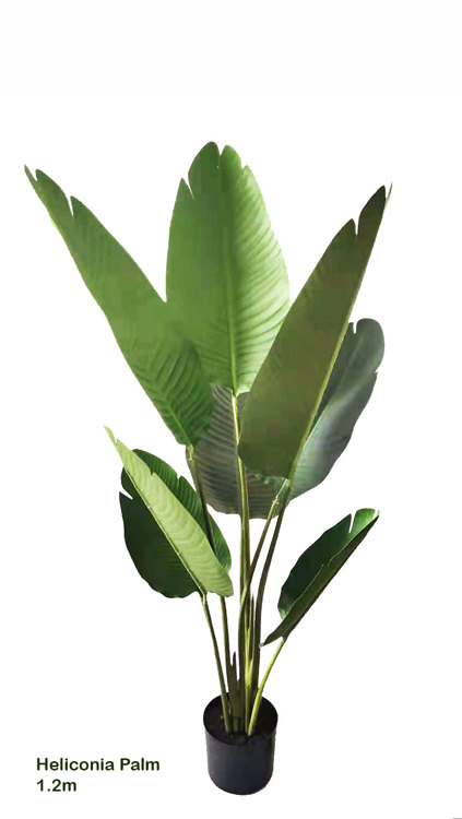 Articial Plants - Heliconia Palms- 1.2m